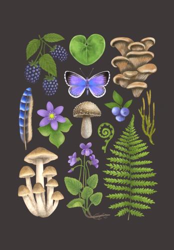 Plakat "Runo Leśne" - brązowe tło