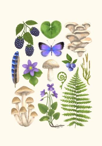 Plakat "Runo Leśne" - kremowe tło