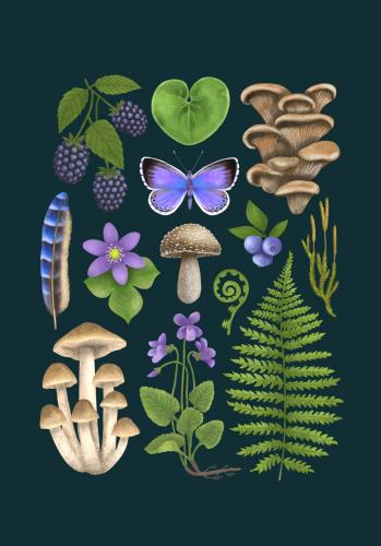 Plakat "Runo Leśne" - granatowe tło