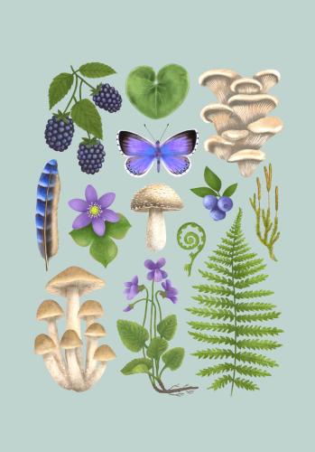 Plakat "Runo Leśne" - miętowe tło