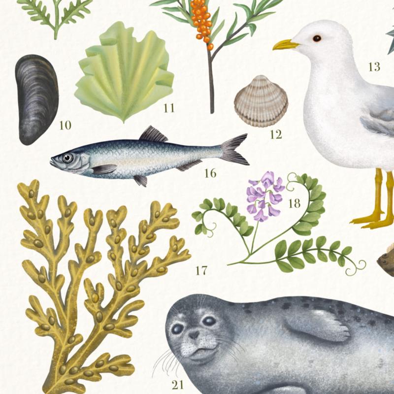 Nad morzem detal.jpg