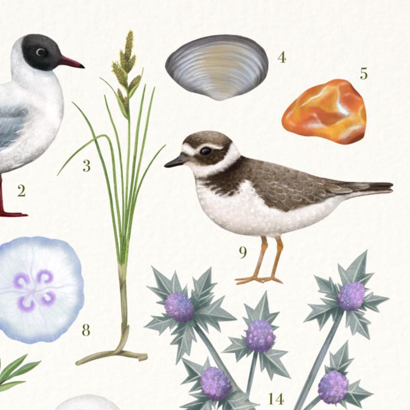 Nad morzem detal2.jpg