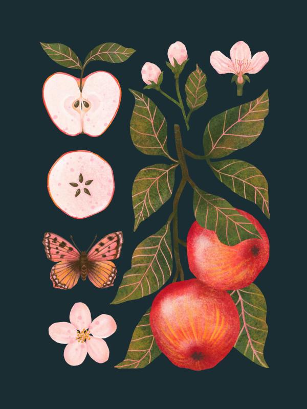 Jabłka granat Miniaturki_Na_Stronę.jpg