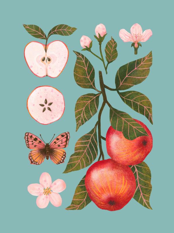 Jabłko niebieskie Miniaturki_Na_Stronę.jpg