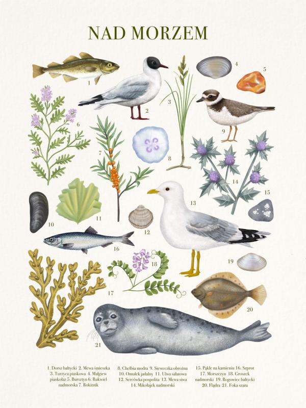 Nad morzem Miniaturki_Na_Stronę.jpg