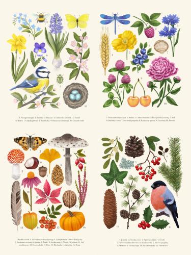 ZESTAW - Cztery pory roku