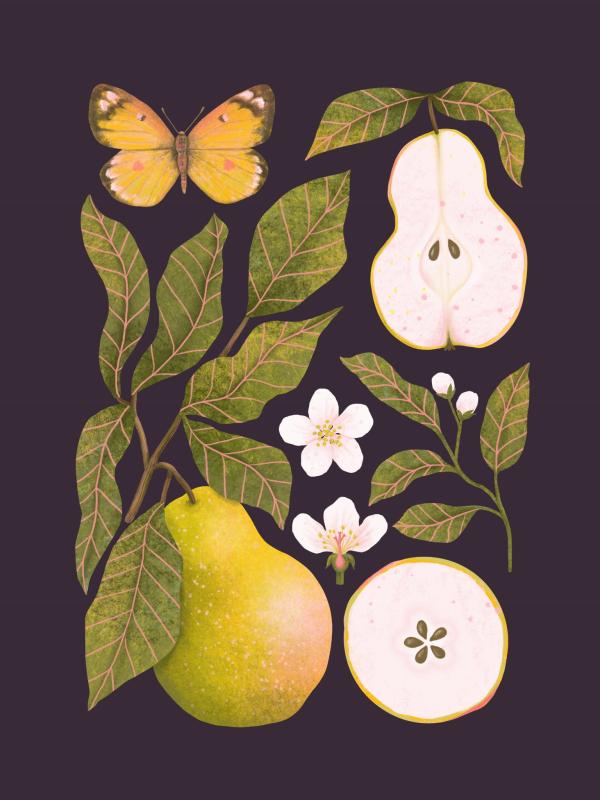 Gruszki fiolet Miniaturki_Na_Stronę.jpg