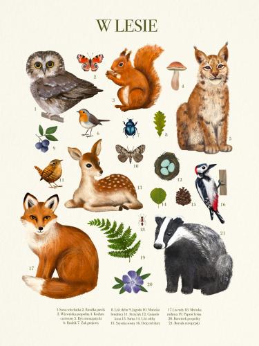 Plakat "W LESIE"