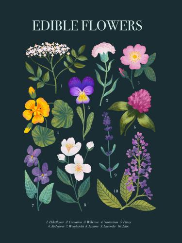 Plakat "Edible Flowers"