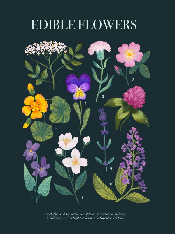 Edible flowers Miniaturki_Na_Stronę.jpg