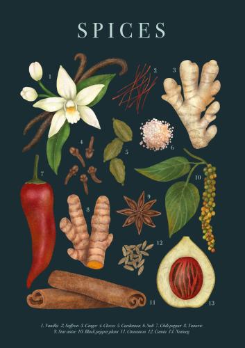 Plakat "Spices"