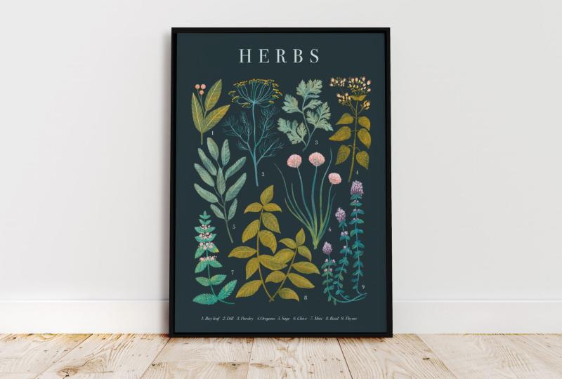 StudioStonka_Herbs1.jpg