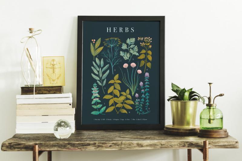 StudioStonka_Herbs3.jpg