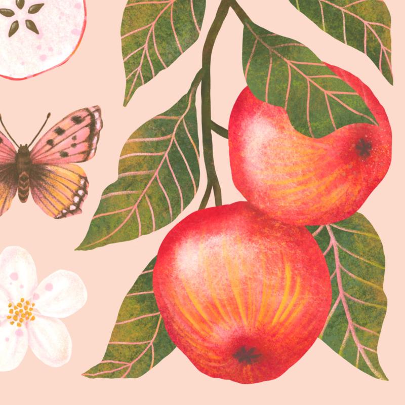 Jabłka róż detal 2.jpg