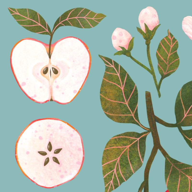 Jabłka niebieskie detal.jpg