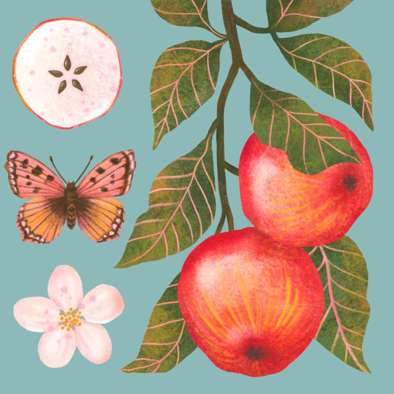 Jabłka niebieskie. Detal. 2.jpg