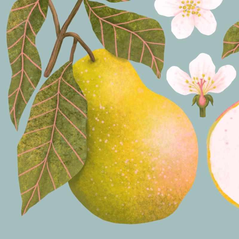 Gruszki nieb detal2.jpg