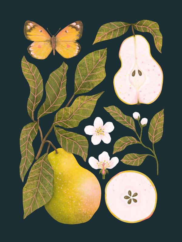 Gruszki granat Miniaturki_Na_Stronę mała.jpg