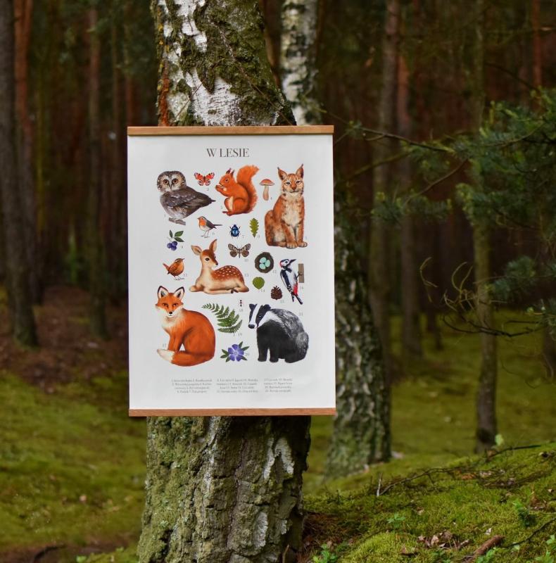 2. w lesie w lesie.jpg