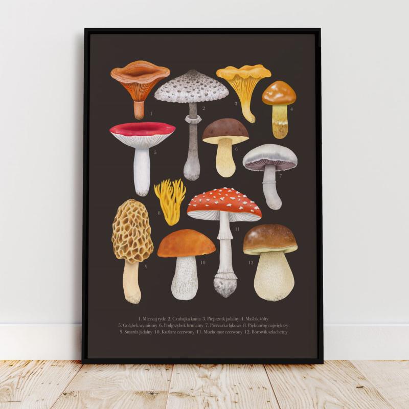 Grzyby brąz czarna ramka.jpg