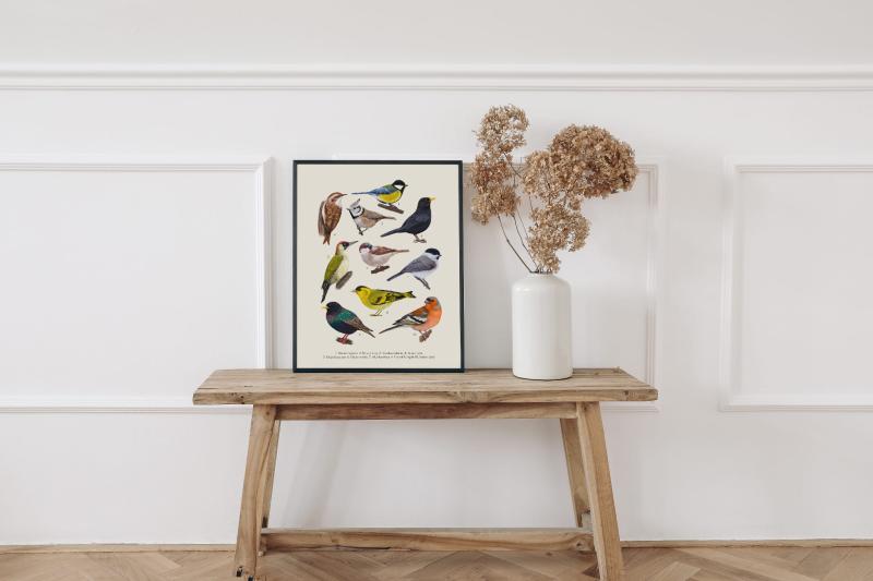 Ptaki druga plansza w ramce.jpg