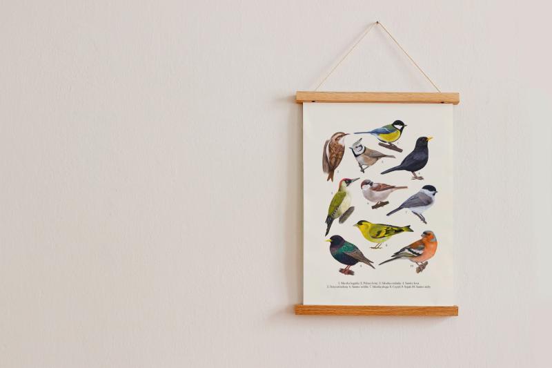 Ptaki plansza druga listewki.jpg