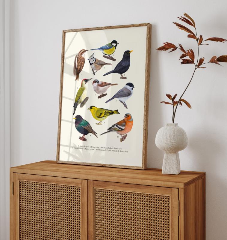 Plakat ptaki montessori plansza 2.jpg