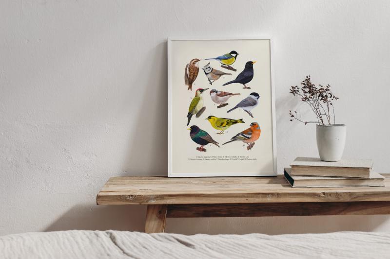 Ptaki druga plansza ramka.jpg