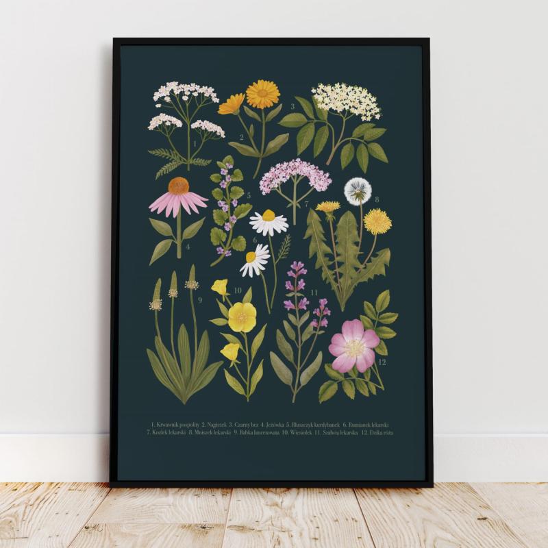 Plakat botaniczny rośliny lecznicze ciemne tło czarna ramka.jpg