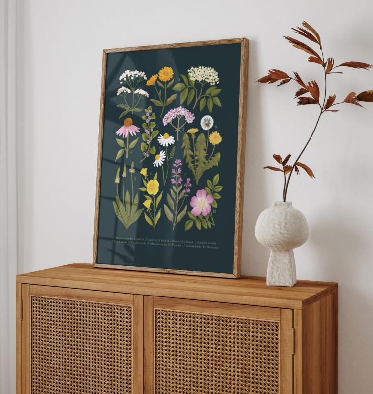 Plakat botaniczny rośliny lecznicze granatowe tło jesienny wazon.jpg