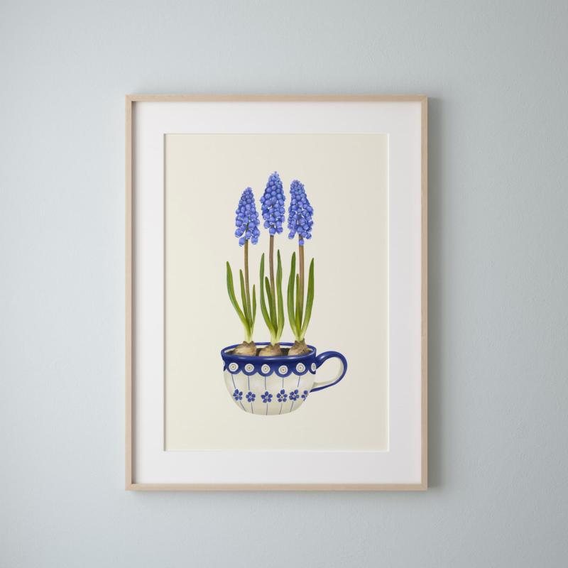 Szafirki plakat.Botaniczny niebieska ściana.jpg