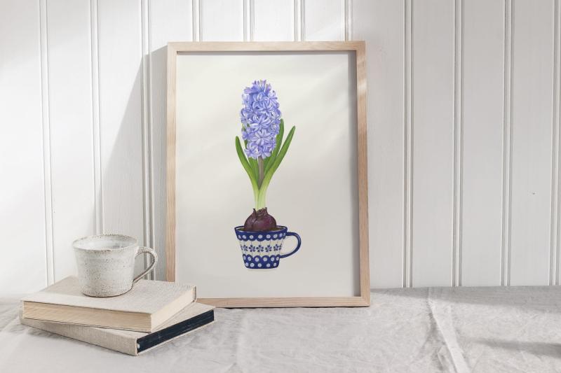 Hiacynt plakat botaniczny książka.jpg