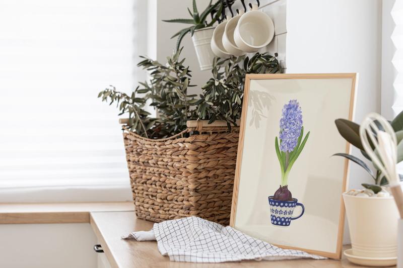 Hiacynt plakat botaniczny kuchnia.jpg