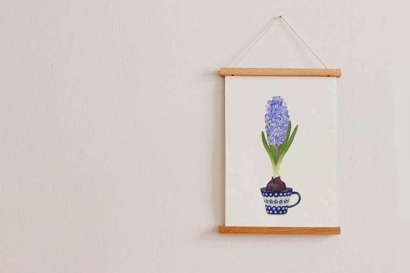 Hiacynt plakat botaniczny listewki.jpg