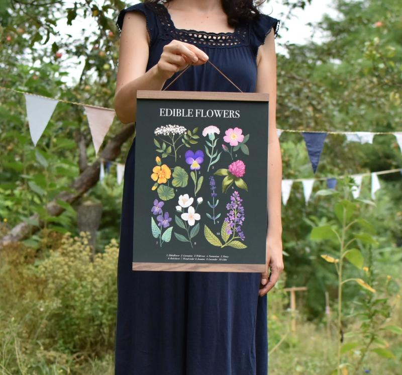 14-edible-flowers-wydruk.jpg